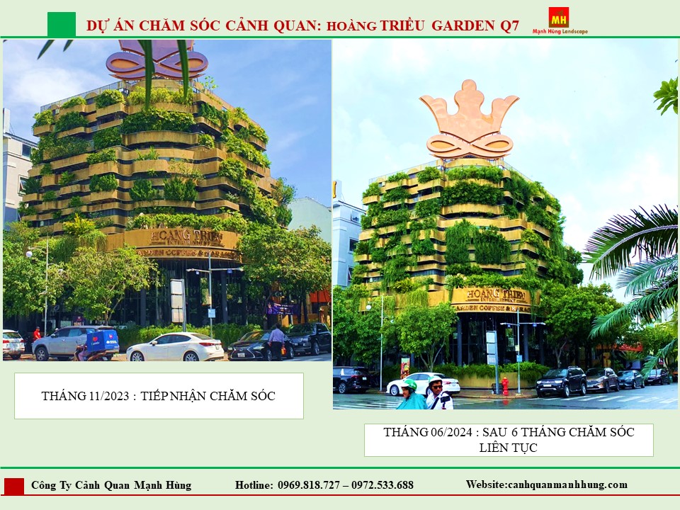 Chăm Sóc Cảnh Quan HOÀNG TRIỆU GARDEN Q7