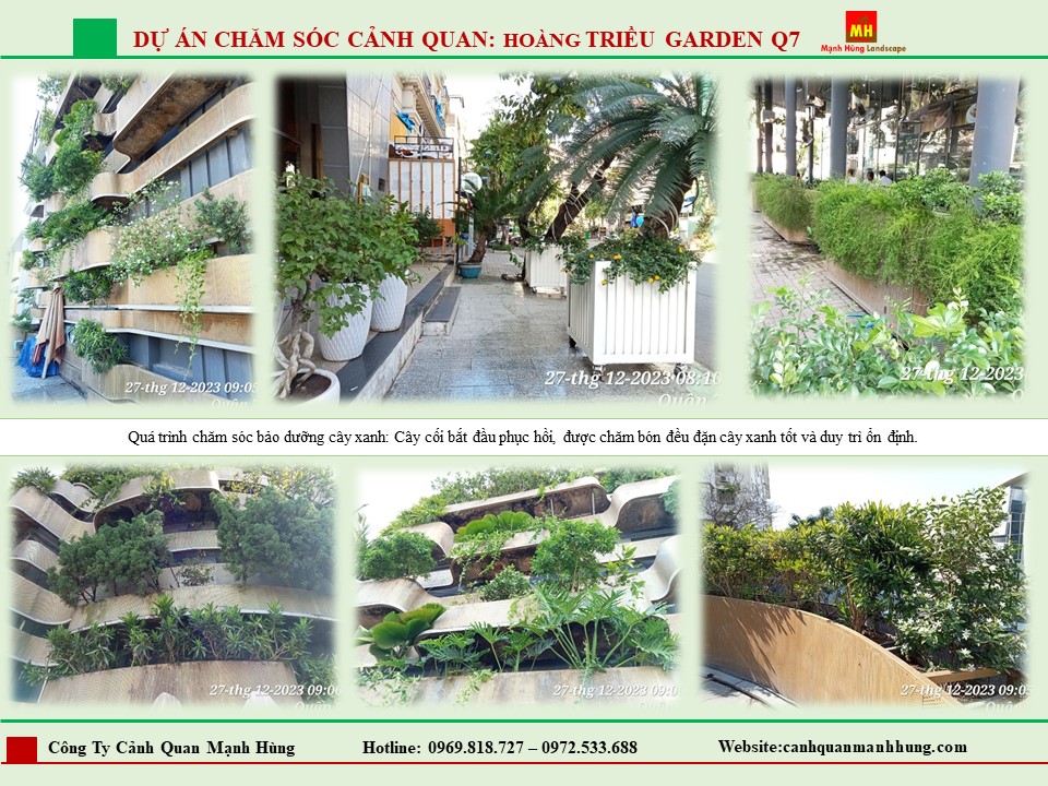 Chăm Sóc Cảnh Quan HOÀNG TRIỆU GARDEN Q7