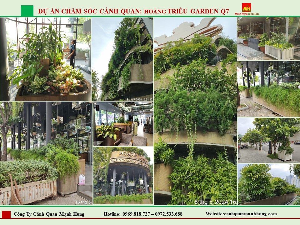 Chăm Sóc Cảnh Quan HOÀNG TRIỆU GARDEN Q7