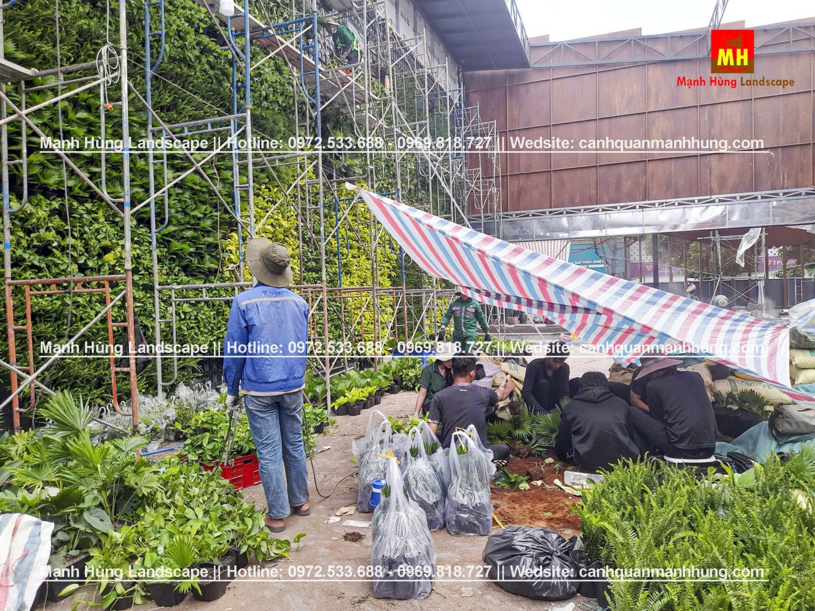thi công tường cây